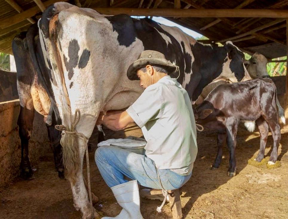 Prefeitura e Câmara unem esforços para orientar produtores rurais de Ipatinga